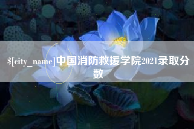 滁州中国消防救援学院2021录取分数
