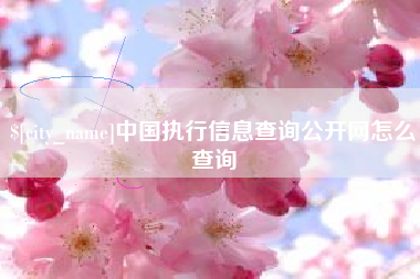 滁州中国执行信息查询公开网怎么查询