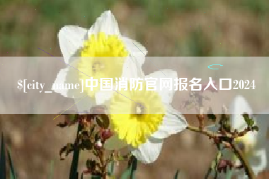 滁州中国消防官网报名入口2024