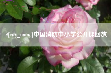 滁州中国消防中小学公开课回放
