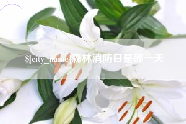 滁州森林消防日是哪一天