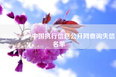 滁州中国执行信息公开网查询失信名单