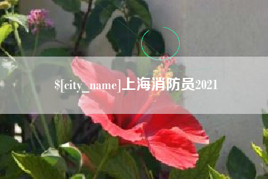 滁州上海消防员2021