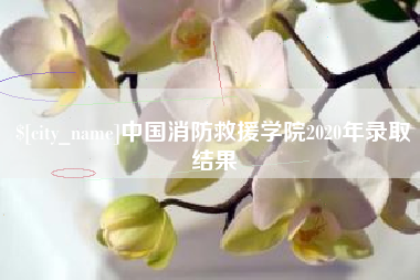 滁州中国消防救援学院2020年录取结果