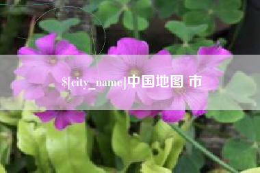 滁州中国地图 市