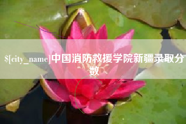 滁州中国消防救援学院新疆录取分数