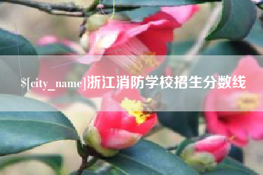 滁州浙江消防学校招生分数线