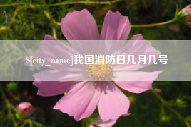 滁州我国消防日几月几号