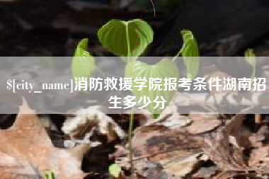 滁州消防救援学院报考条件湖南招生多少分