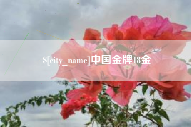 滁州中国金牌18金