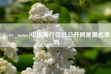 滁州中国执行信息公开网是黑名单吗