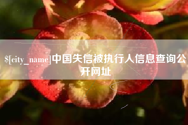 滁州中国失信被执行人信息查询公开网址