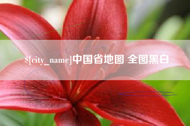 滁州中国省地图 全图黑白