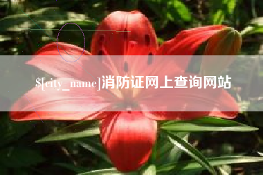 滁州消防证网上查询网站