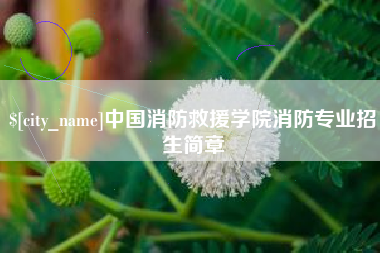 滁州中国消防救援学院消防专业招生简章