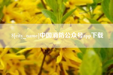滁州中国消防公众号app下载