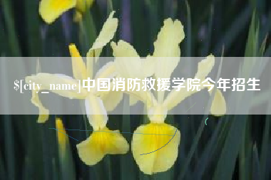 滁州中国消防救援学院今年招生