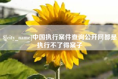 滁州中国执行案件查询公开网都是执行不了得案子