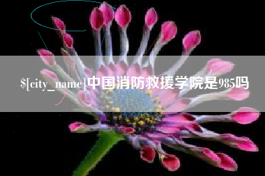滁州中国消防救援学院是985吗