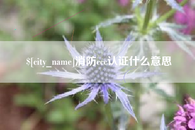 滁州消防ccc认证什么意思