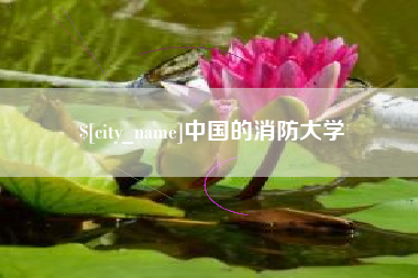 滁州中国的消防大学