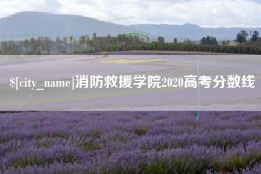 滁州消防救援学院2020高考分数线