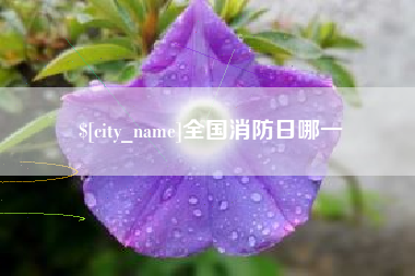 滁州全国消防日哪一