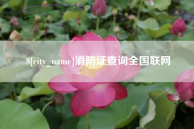 滁州消防证查询全国联网