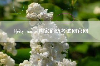滁州国家消防考试网官网