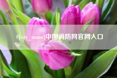滁州中国消防网官网入口