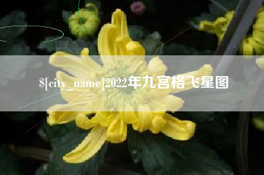 滁州2022年九宫格飞星图