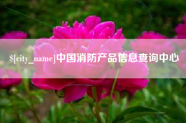 滁州中国消防产品信息查询中心
