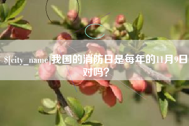滁州我国的消防日是每年的11月9日对吗？