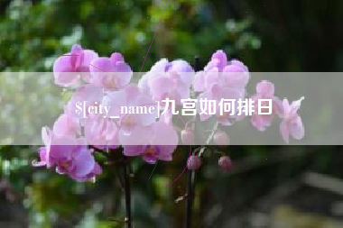 滁州九宫如何排日