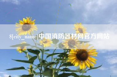 滁州中国消防器材网官方网站