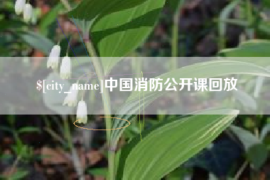 滁州中国消防公开课回放