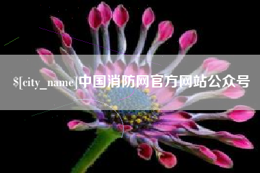 滁州中国消防网官方网站公众号