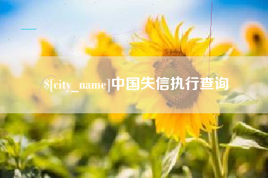 滁州中国失信执行查询