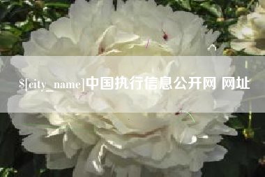 滁州中国执行信息公开网 网址
