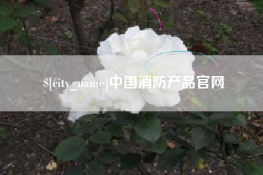 滁州中国消防产品官网