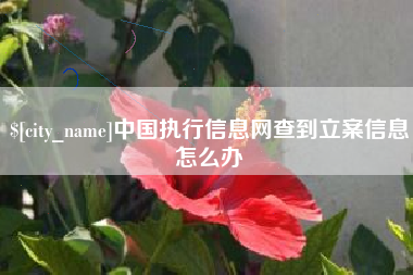 滁州中国执行信息网查到立案信息怎么办