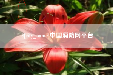 滁州中国消防网平台