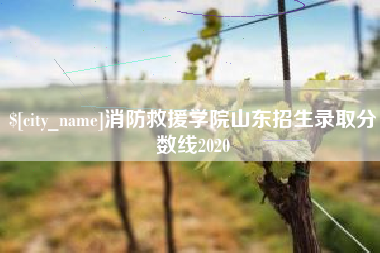 滁州消防救援学院山东招生录取分数线2020