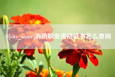 滁州消防职业资格证书怎么查询