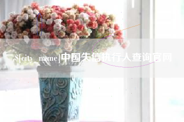 滁州中国失信执行人查询官网