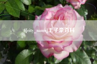 滁州王子豪百科