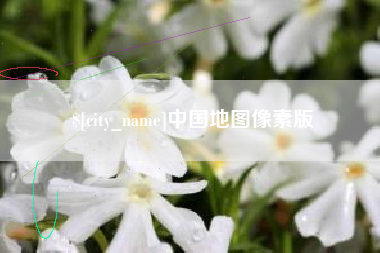 滁州中国地图像素版