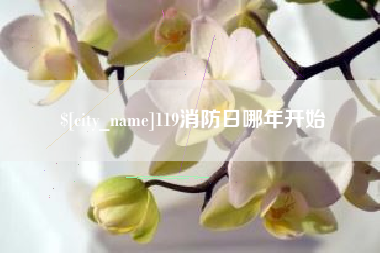 滁州119消防日哪年开始