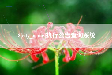 滁州执行公告查询系统
