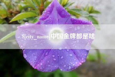 滁州中国金牌都是啥